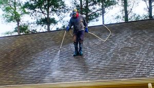 Roof cleaning