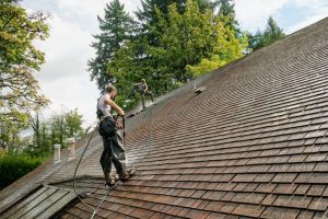 Roof Cleaning Service