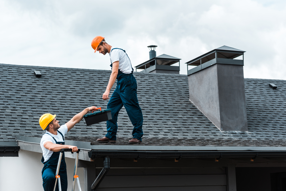 Roof Cleaning 